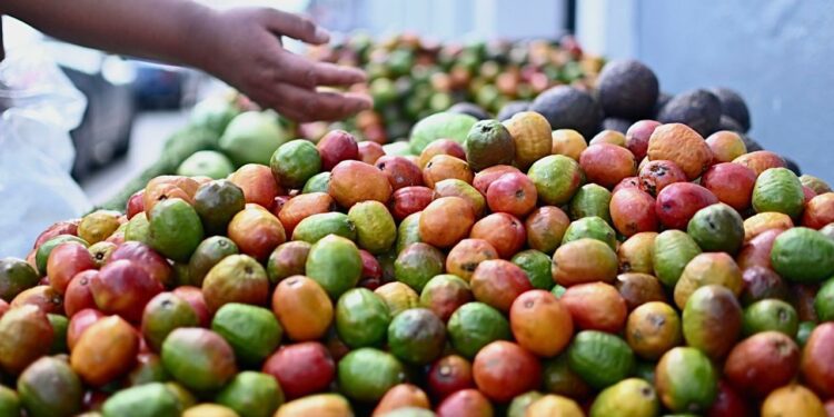 Los beneficios del jocote, el tesoro tropical de sabor que se produce en Guatemala