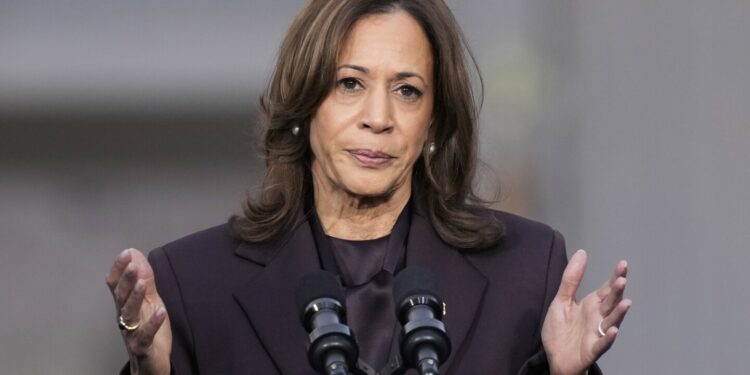 2024 Election: Donald Trump elected 47th President of the United States