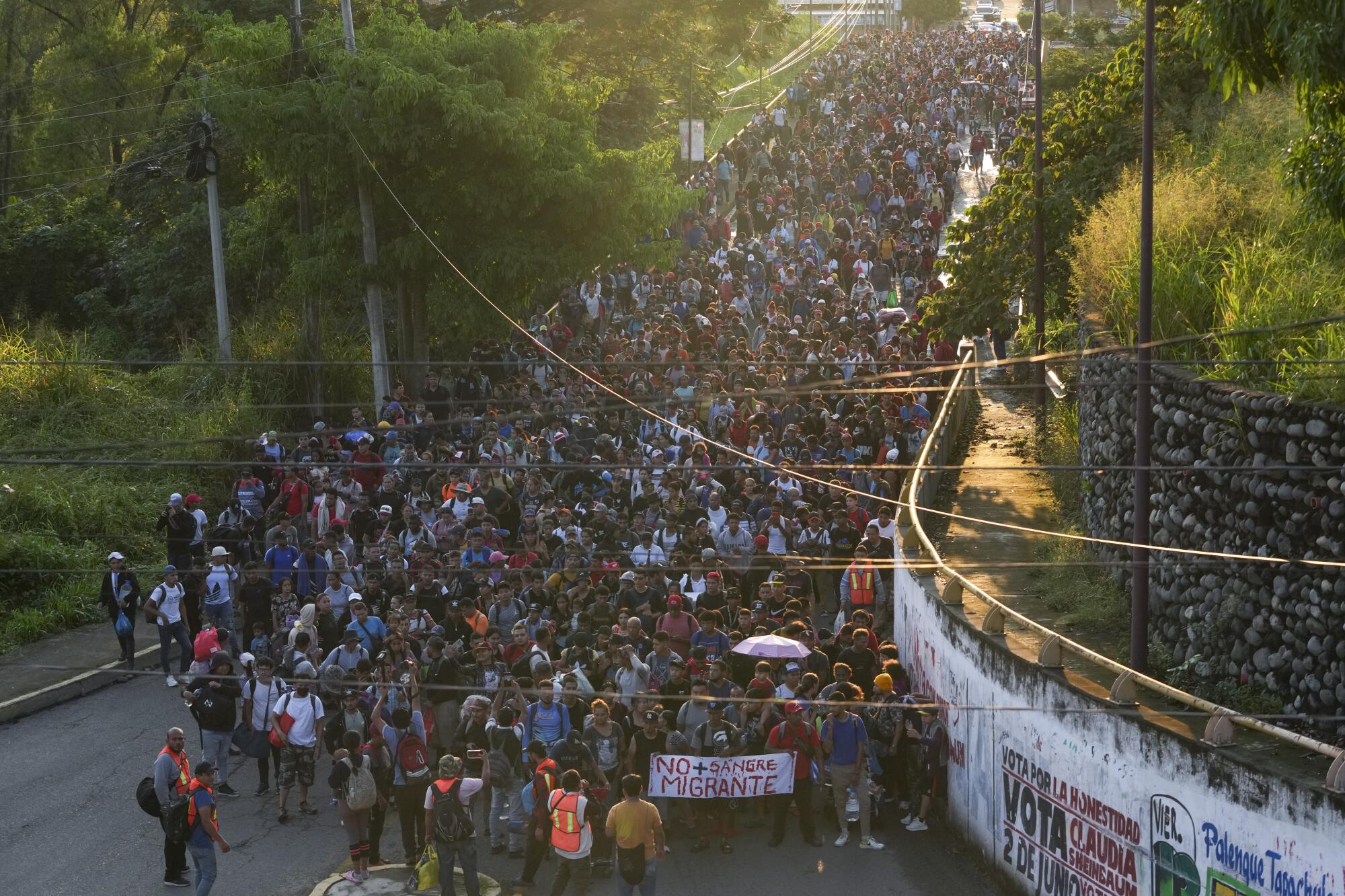 A crowd of people walk in a road.