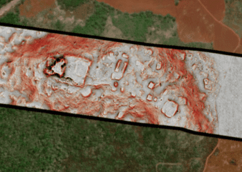 An Ancient Maya City Was Just Discovered Under a Mexican Forest