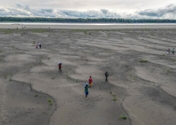 Record Amazon drought across South America leaves 420,000 children without food, water and schooling, Unicef calls for urgent aid