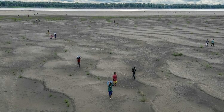 Record Drought In Amazon Impacts 420,000 Children: UNICEF