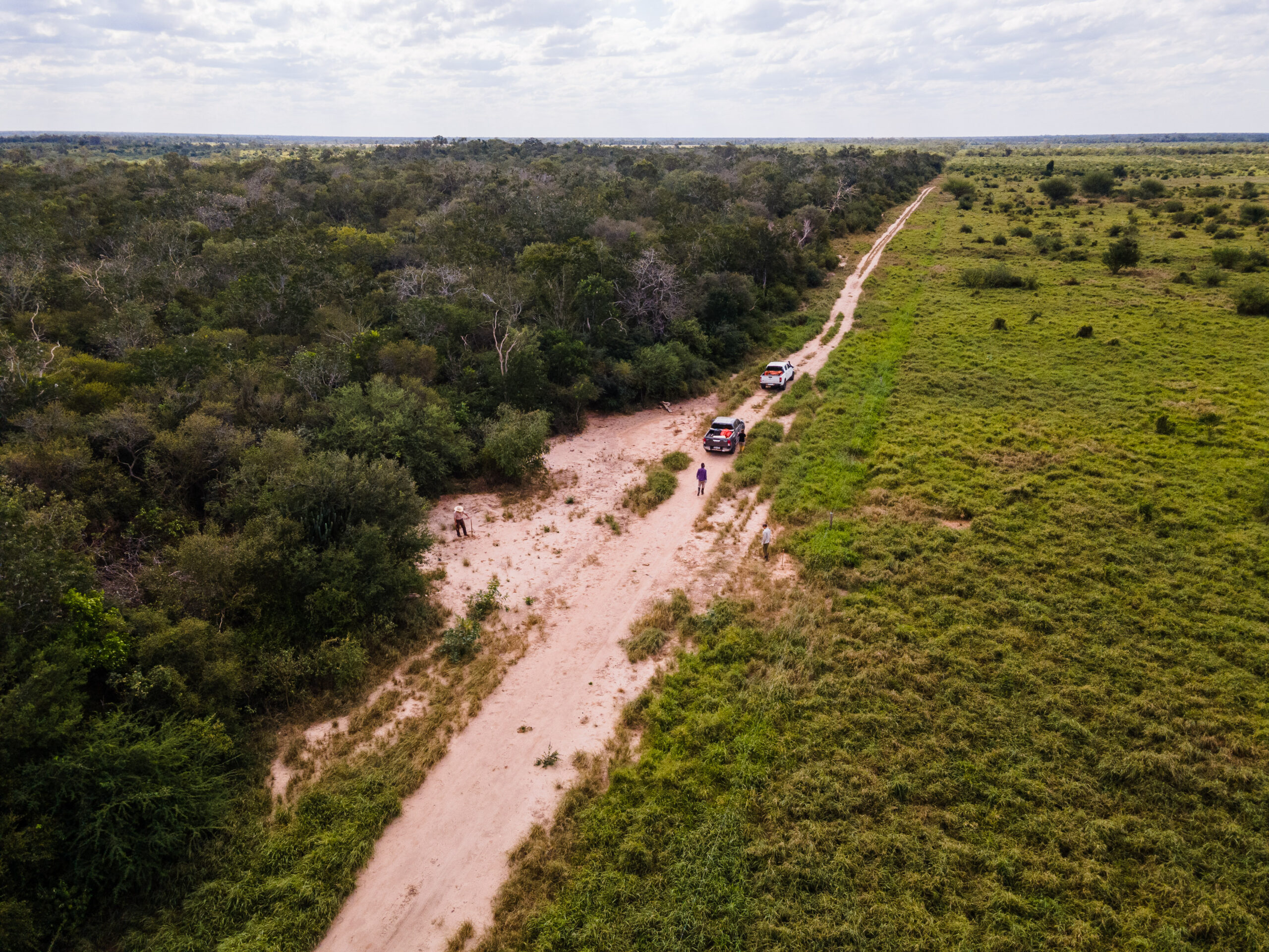 La vista áerea permite apreciar cómo una cortina rompevientos puede servir para que la fauna silvestre se mueva sin asomarse a un camino o un campo productivo. Foto: Andrea Ferreira.