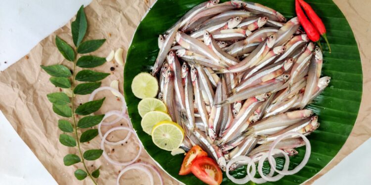 Cooke to acquire Peru-based fish oil producer Copeinca 