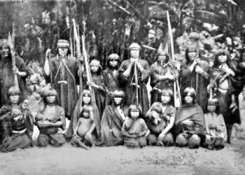 The rubber boom and its legacy in Brazil, Peru, Bolivia and Colombia