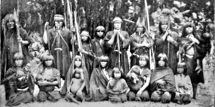 The rubber boom and its legacy in Brazil, Peru, Bolivia and Colombia