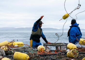 Crabbing season in California is delayed, halting holiday traditions