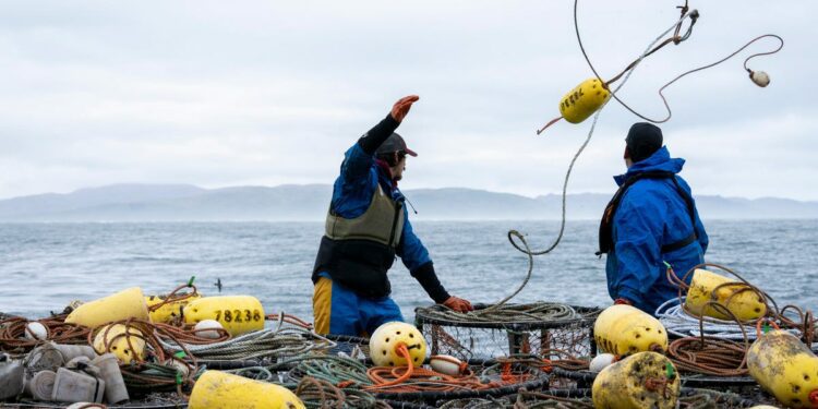 Crabbing season in California is delayed, halting holiday traditions