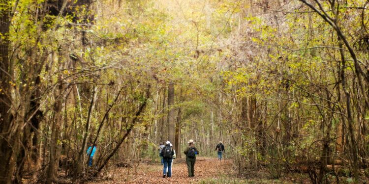 California’s 9 national parks are free to visit on Veterans Day