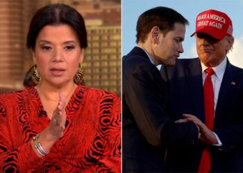 “The View”'s Ana Navarro praises Donald Trump for potentially adding 'qualified' Marco Rubio to cabinet