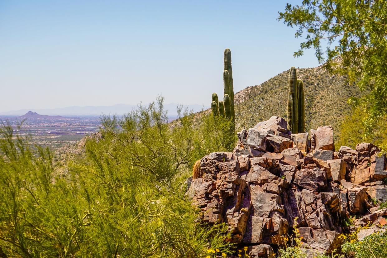 Rocks, trees, and cacti on a hill in frot of a view of another mountain in the distance