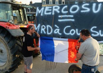 Macron seeks to stall Mercosur deal on visit to South America