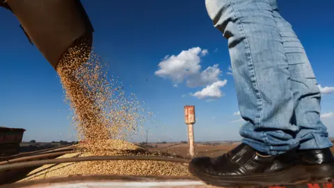 Reuters A harvester unloads soybeans into a truck at a farm during a record soybean harvest season in Não-Me-Toque, Rio Grande do Sul, Brazil, 3 April 2024