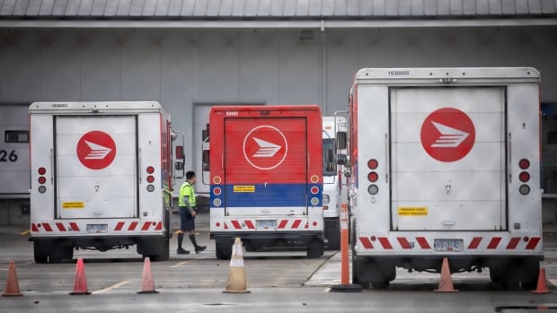 Canada Post strike causes shipping headaches for some Ontario small businesses