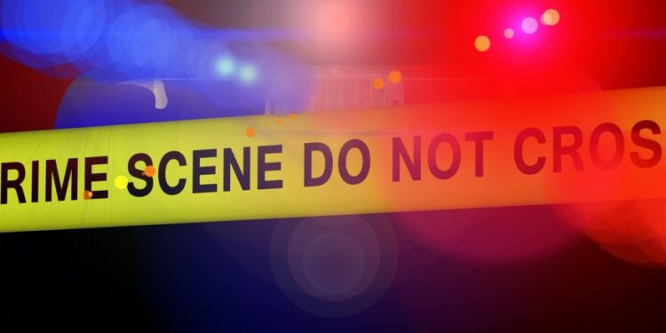 America’s Blue Bastions Have Crept Right Amid Rampant Crime And Homelessness – IJR