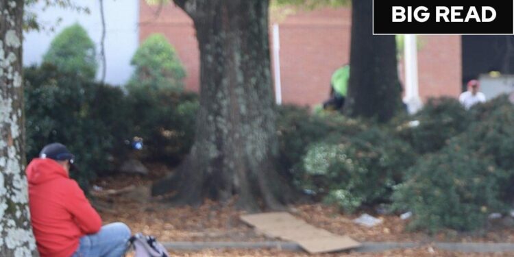 America split over Trump’s deportation agenda