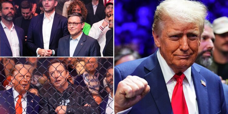 Trump flanked by top allies, cabinet picks at UFC 309: 'USA, USA'