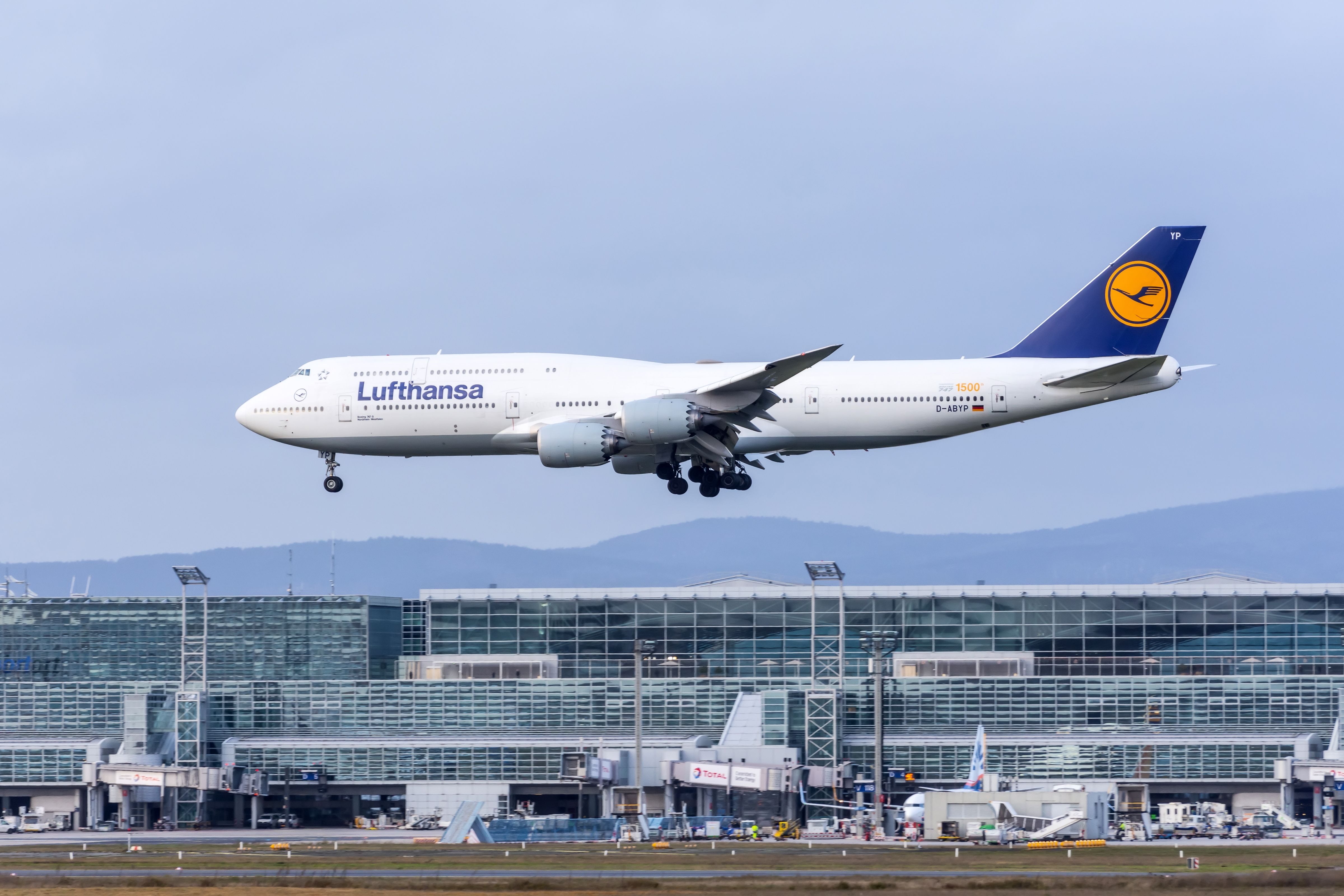 Lufthansa Boeing 747-8 landing at Frankfurt Airport (FRA) shutterstock_1821572588