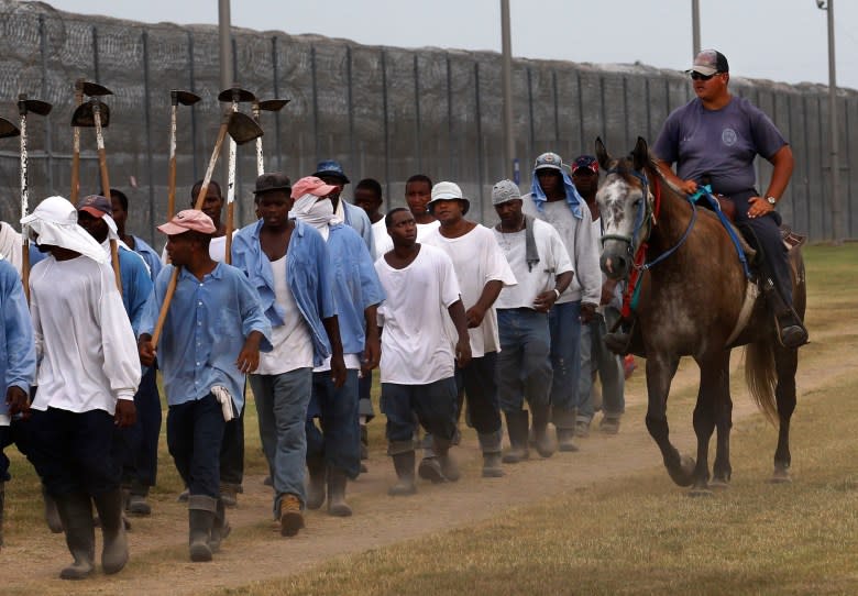 A prison guard rides a horse alongside prisoners as they return from farm work detail at the Louisiana State Penitentiary in Angola, Louisiana in 2011. After the Civil War, the 13th Amendment’s exception clause, that allows for prison labor, provided legal cover to round up thousands of mostly young Black men. They then were leased out by states to plantations like Angola and some of the country’s biggest privately owned companies, including coal mines and railroads. (Gerald Herbert/Associated Press)