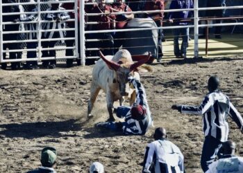 Spectacle and Suffering at America’s Biggest Prison