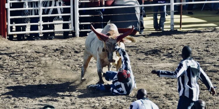 Spectacle and Suffering at America’s Biggest Prison