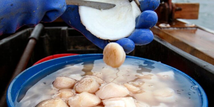 Report finds that America is catching and eating a little less seafood