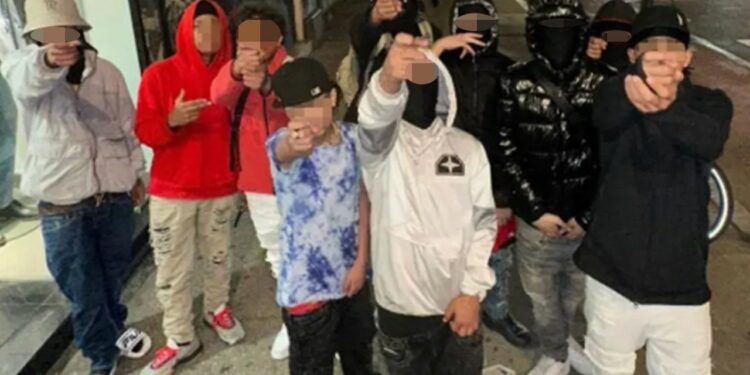 Venezuelan migrant gang Tren de Aragua now operating in 16 states: report