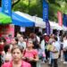 Korean Cuisine Festival Draws Thousands in Costa Rica, Showcasing Culture and Culinary Delights