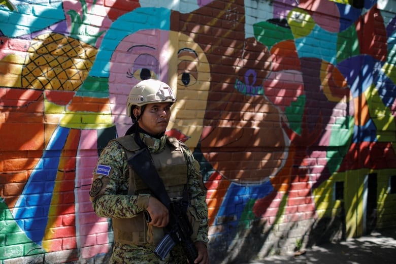 A soldier stands against a colourful wall.