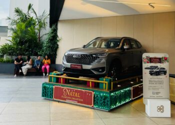 Chinese NEVs gain popularity in Brazil, Latin America