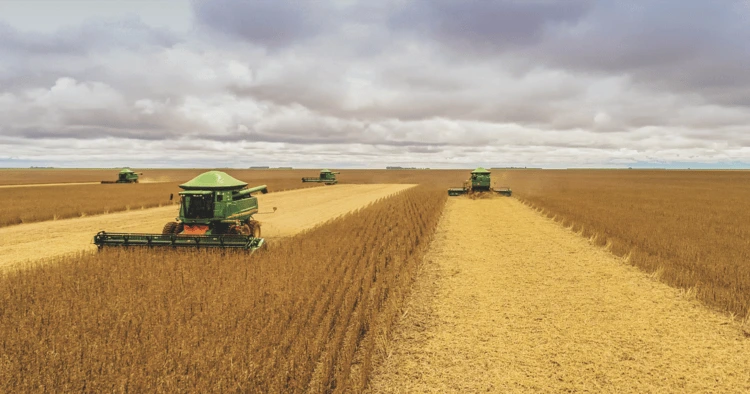 Harvesting in Brazil