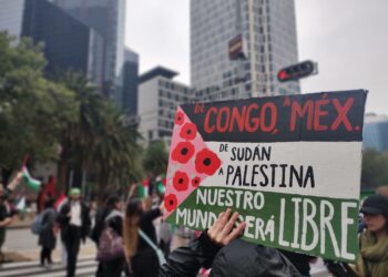 From Gaza to COP29: The 9 Types of Violence Wealthy Countries are Inflicting on the Global South