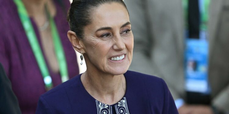 Mexico Fears Loss of US-Canada Trade, Scrambles to Replace Chinese Parts