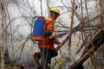 Un bombero mitiga los restos de un incendio en San Miguelito (Bolivia). EFE/ Juan Carlos Torrejón
