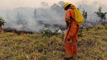 Esta fotografía difundida por la Defensa Civil de Bolivia muestra a bomberos voluntarios combatiendo los incendios forestales en la zona de San Ignacio de Velasco, departamento de Santa Cruz, Bolivia. (Fotografía de la Defensa Civil de Bolivia / AFP)