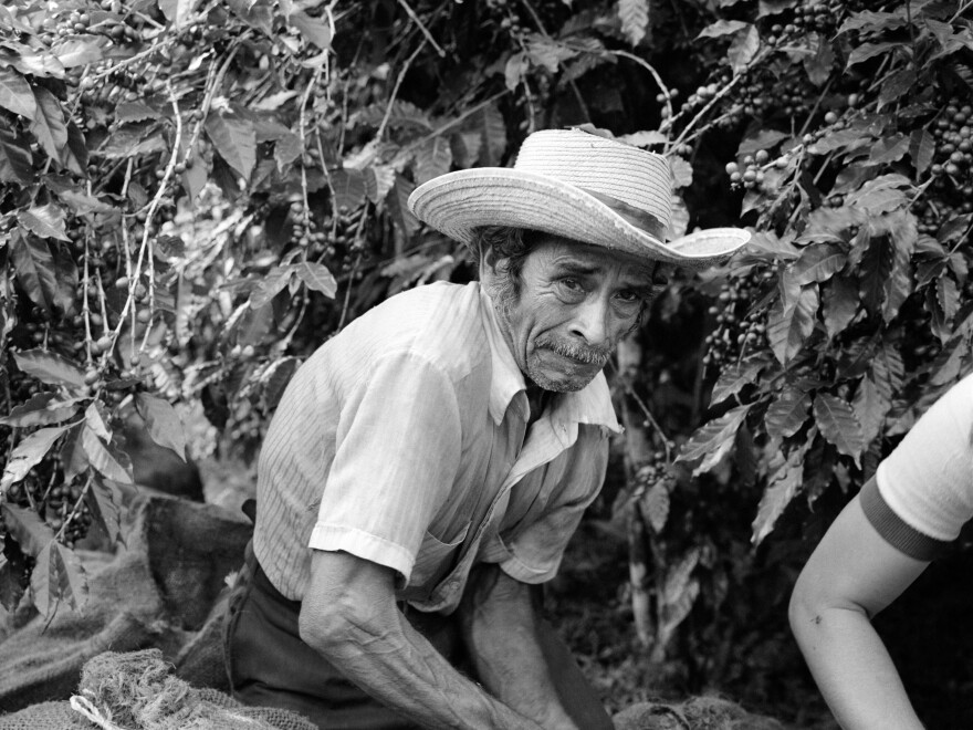 Salvadoran laborers load bags of freshly picked coffee beans destined for export at a privately owned coffee farm in Santa Tecla, El Salvador, in October 1982.