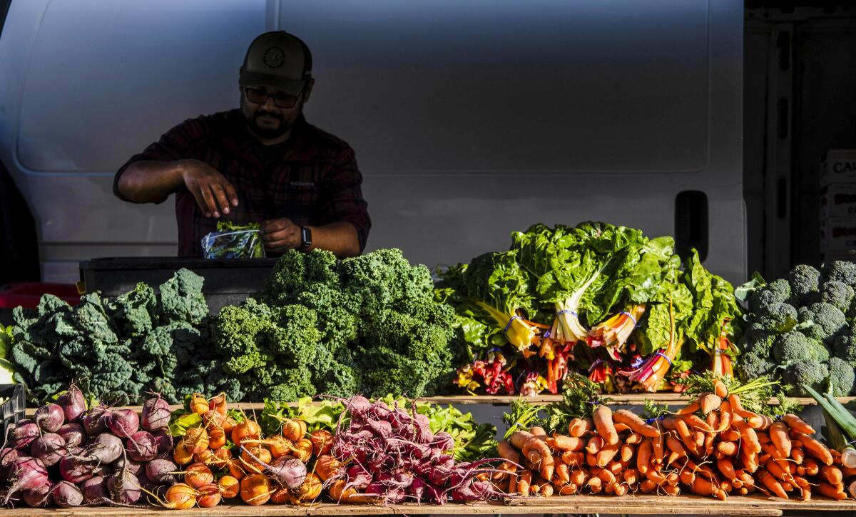 Piles of kale, carrots, beets, broccoli and other vegetables at a farmers market stall.