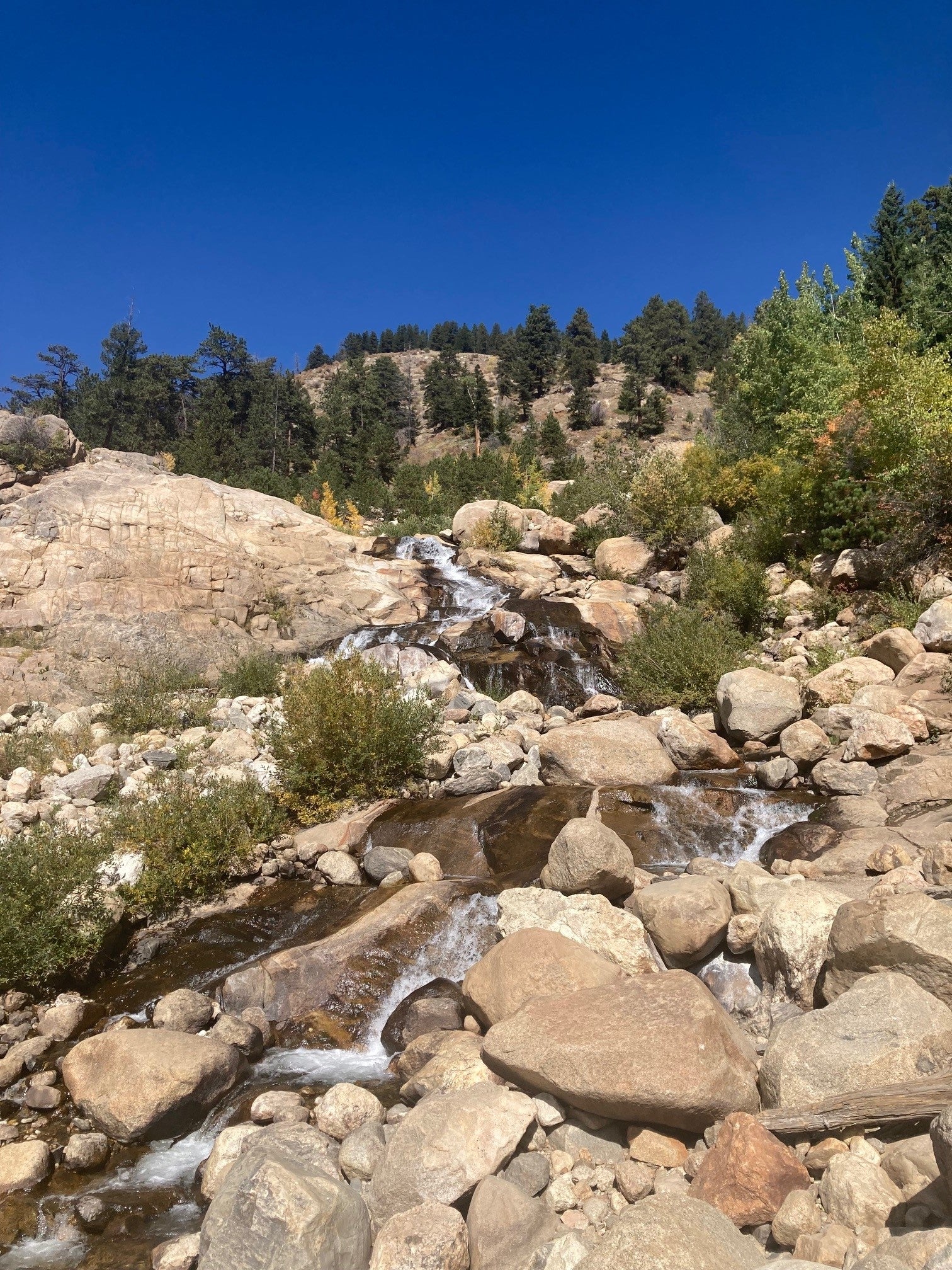 Horseshoe Falls in Rocky Mountain National Park