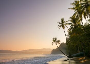 Foreign Office warns UK tourists of 'airport disruptions' after passengers stranded