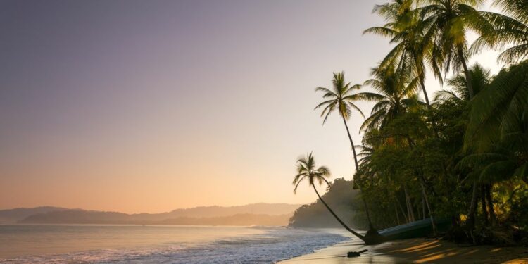 Foreign Office warns UK tourists of 'airport disruptions' after passengers stranded