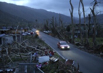 After Maria, ‘heart-wrenching’ all-formats coverage