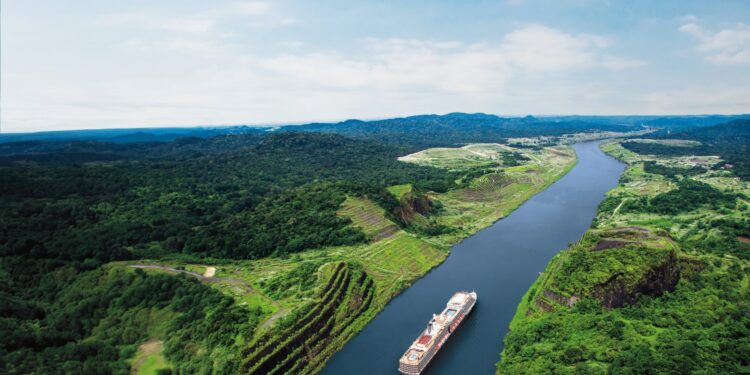 I went on my first cruise and was blown away by the food and service... and even visited five exotic new countries