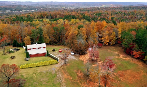 Autumn color 2020 drone