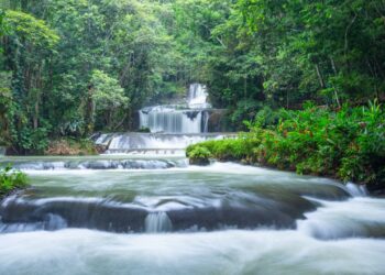 A 5-Day Jamaica Travel Itinerary for Adventure & Relaxation