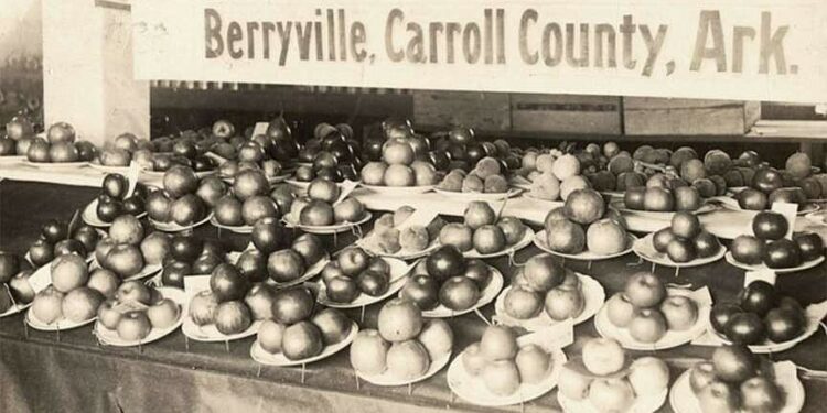 ARKANSAS A-Z: Apple industry rose, fell in northwestern part of the state