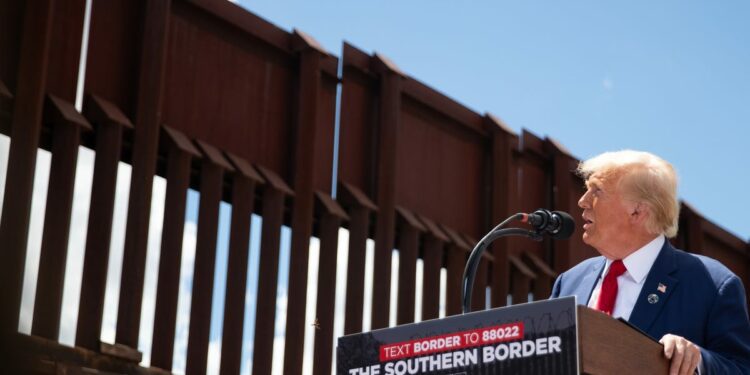 AZ deportation plans will hurt. Homan, Montenegro may benefit