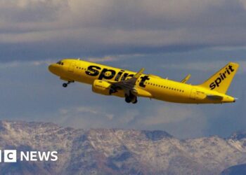 Airlines suspend flights as Spirit plane hit by gunfire
