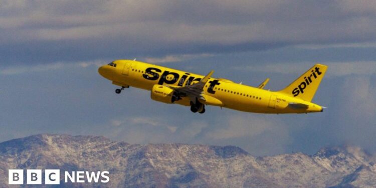 Airlines suspend flights as Spirit plane hit by gunfire