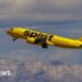 Airlines suspend flights as Spirit plane hit by gunfire