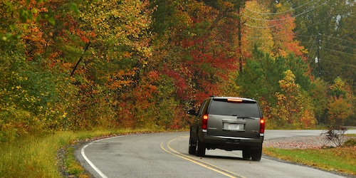 Autumn in Alabama  